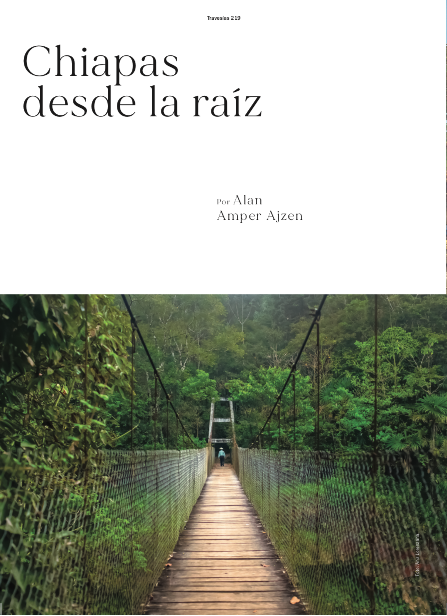Travesías – Chiapas desde la raíz